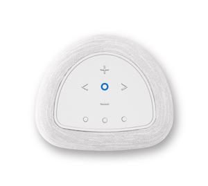 Bluesound Pulse Flex P130